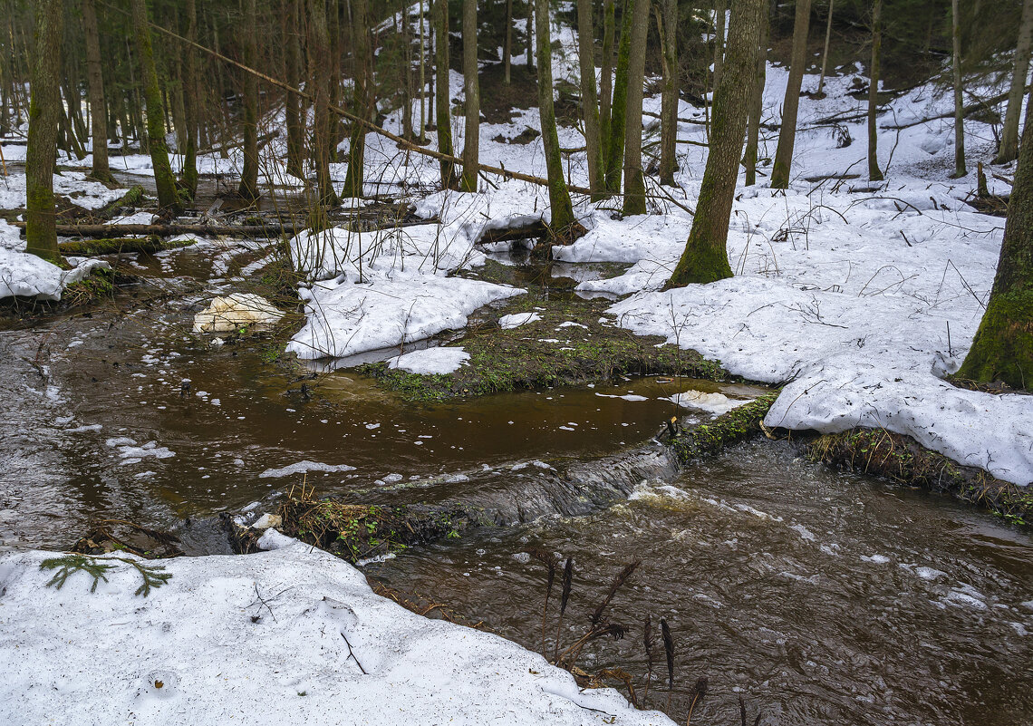 Апрельский ручей звонче мартовского - Сергей Цветков