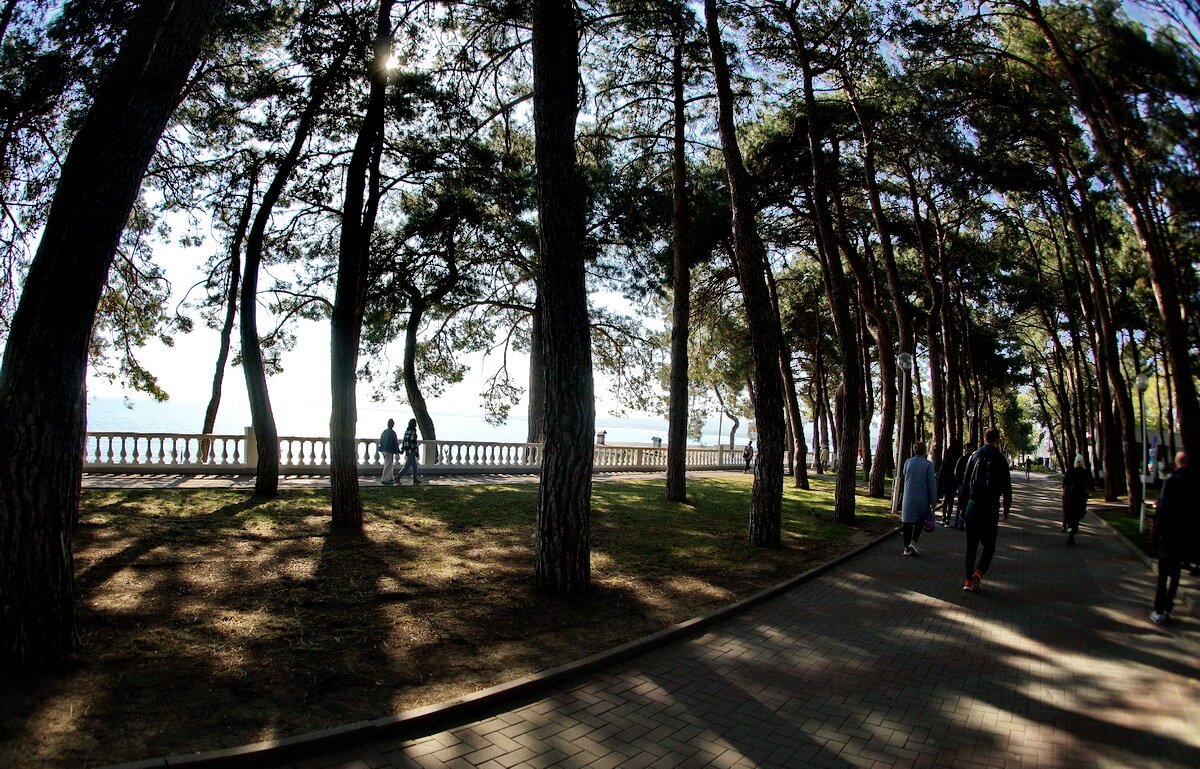 Геленджик... набережная... - Николай Саржанов