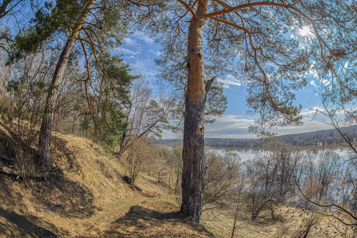 Вперед к реке. - Николай 