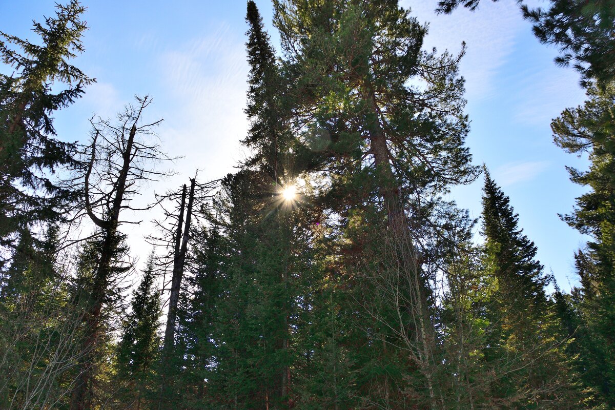 - - Владимир Мигонькин