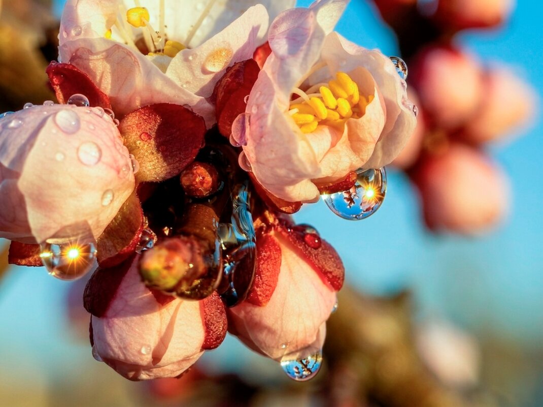 Весеннее настроение - Валерий Ткаченко