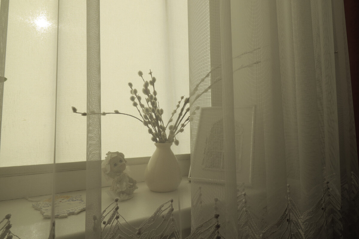 Вербное воскресенье. - Николай 