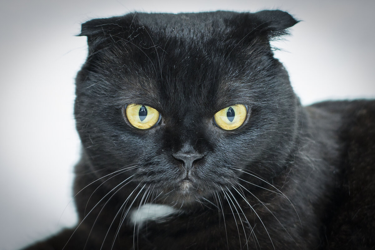 _ - Тамара Федорова