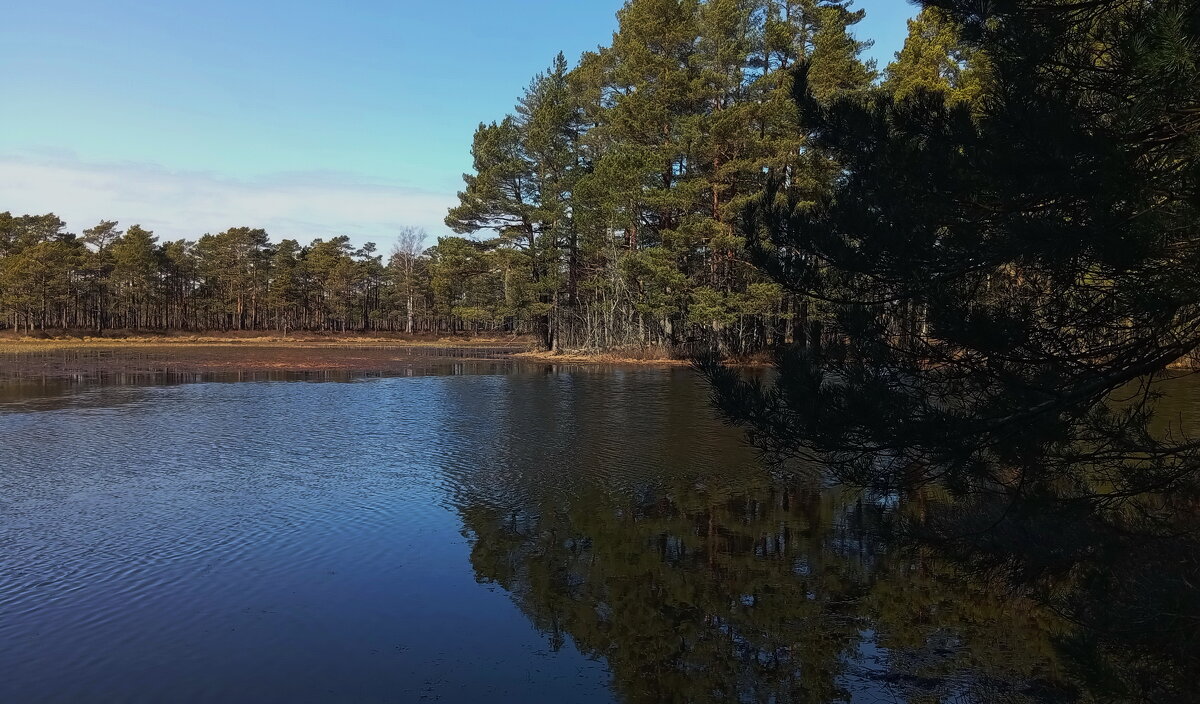 Апрель .. - Татьян@ Ивановна