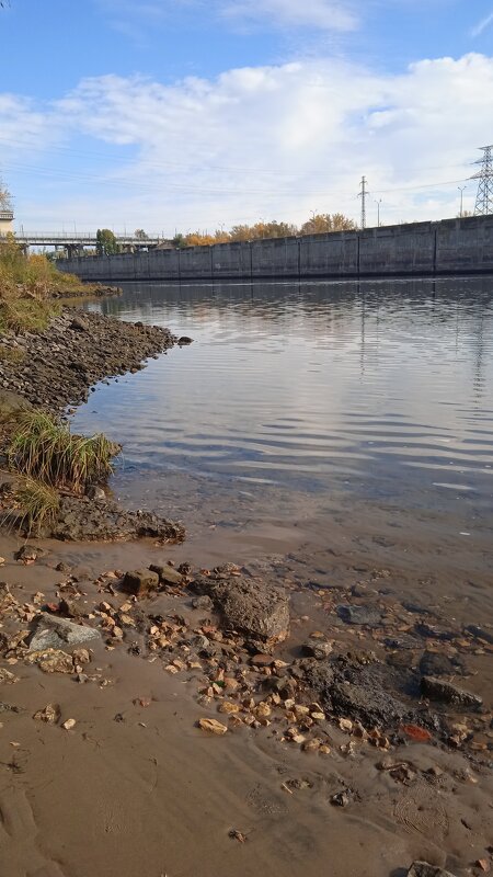 за городом - Елена Шаламова