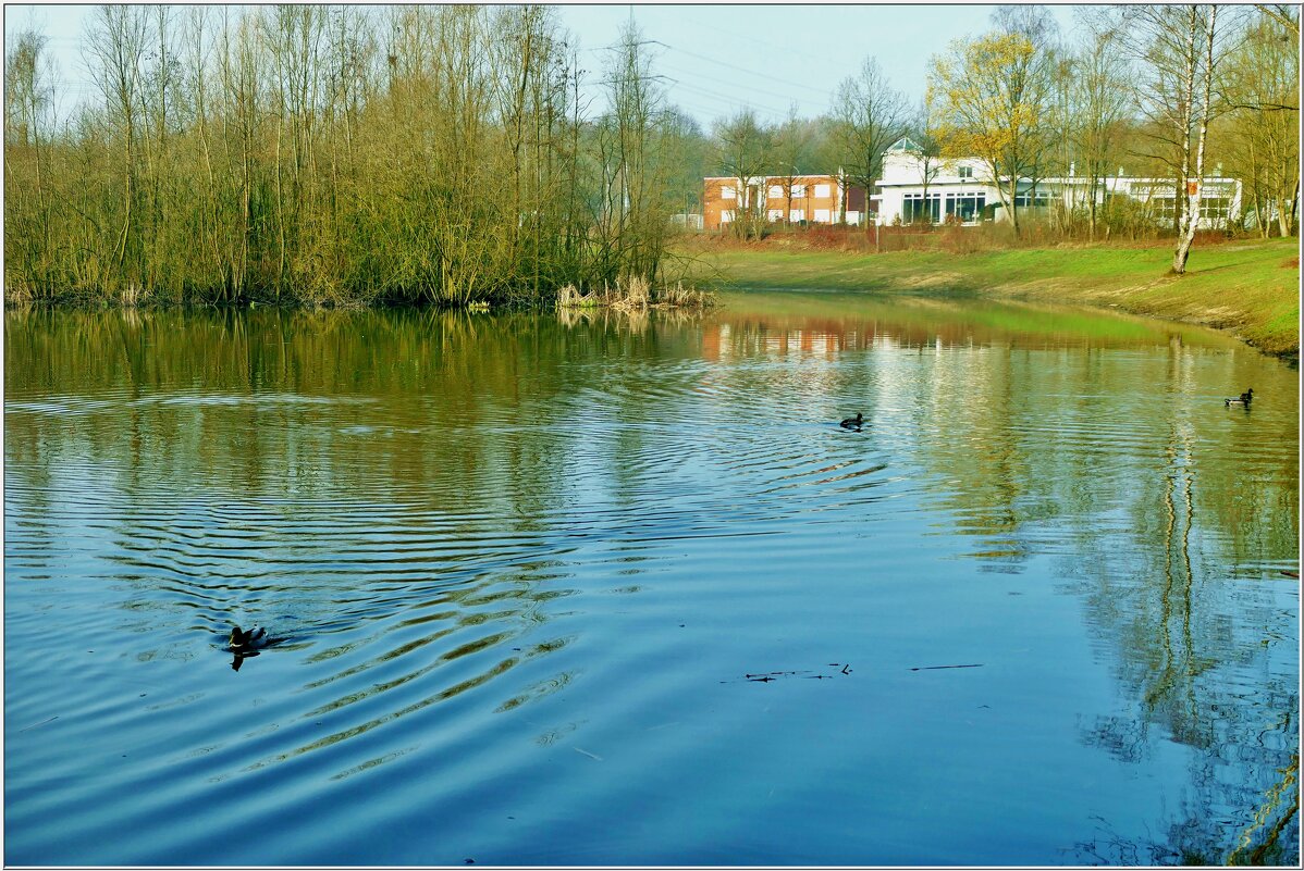 У ОЗЕРА... - Elvira E. У ОЗЕРА... - Elvira E.