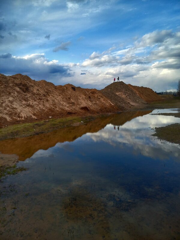 Живописная лужа - Crazy Bee