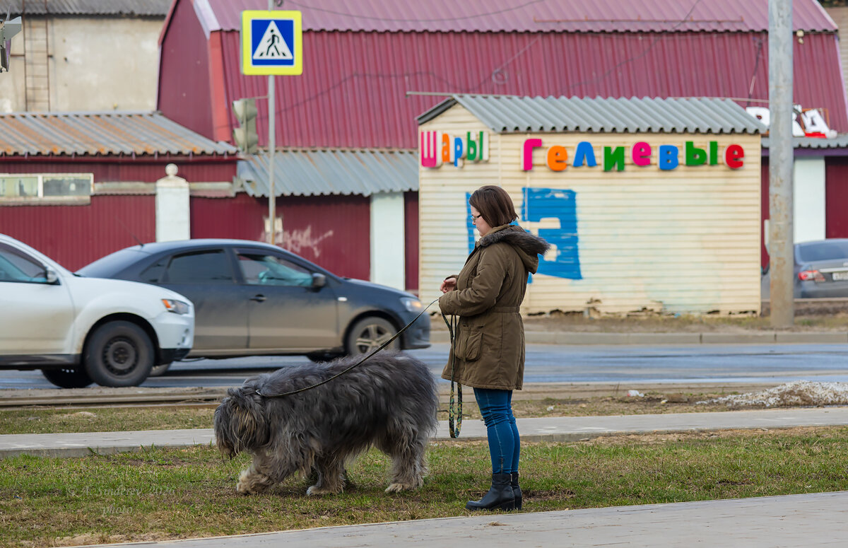 Девушка с собакой - Александр Синдерёв