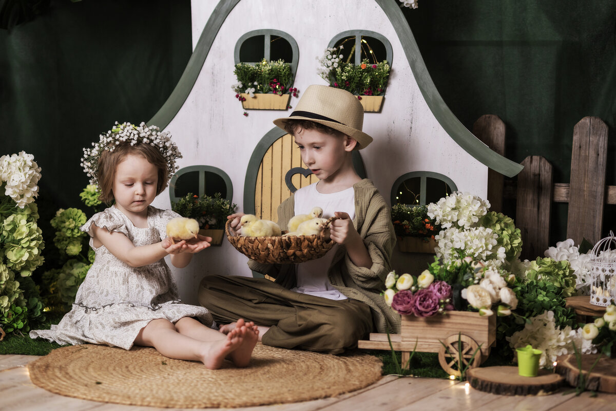 Цыплятки - Olga Цыплятки - Olga