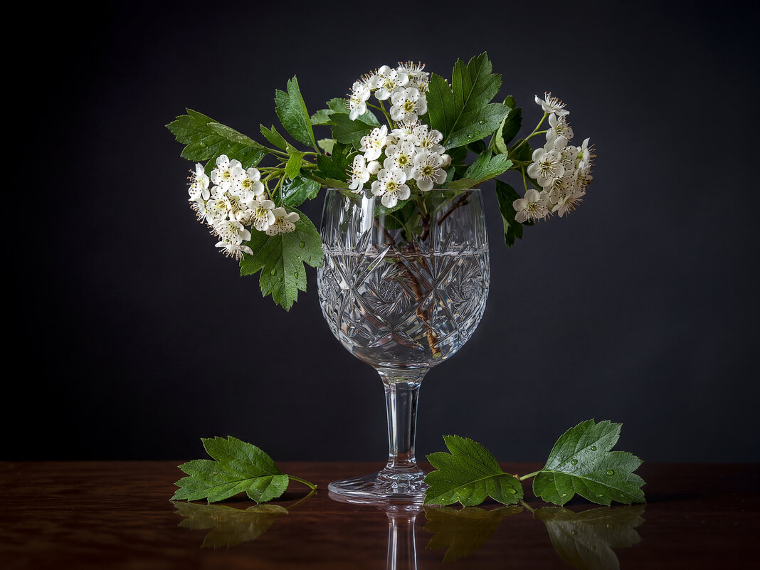 Боярышник - Aleksey Afonin