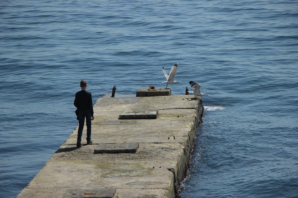Шугнул птичек. - Дмитрий А Шугнул птичек. - Дмитрий А