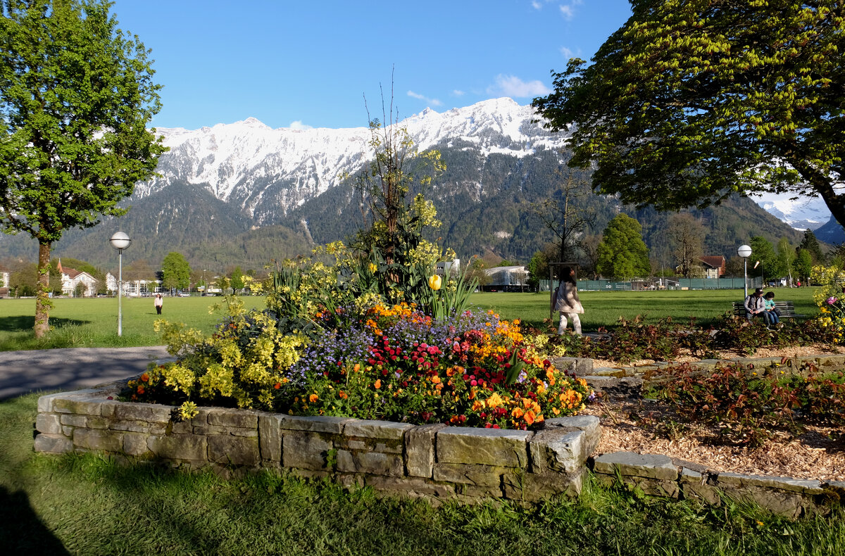 ** - Александр Липовецкий