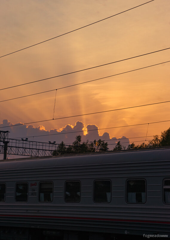 Свет и сталь - fogmeadowww m