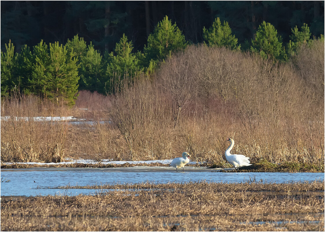 Отдых на солнышке - Валентин Котляров
