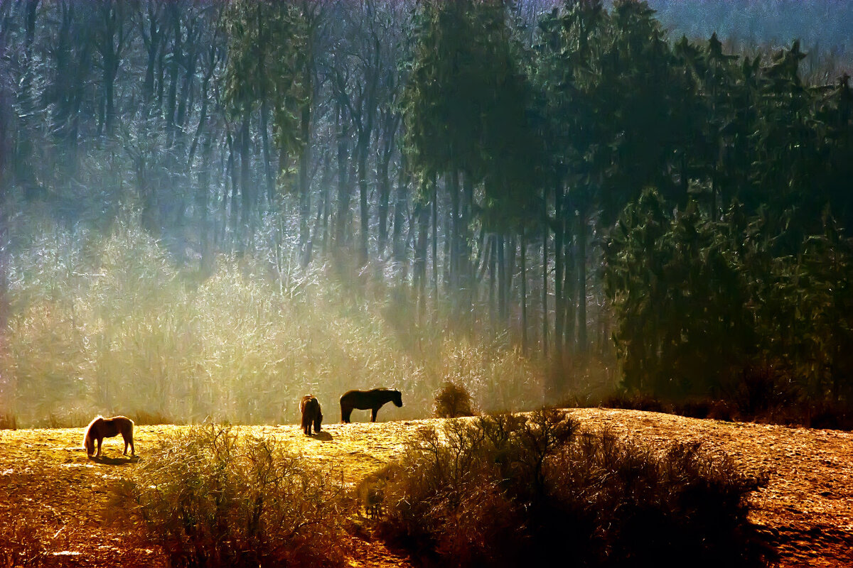 ПАСУТСЯ КОНИ НА ПРИГОРКЕ - Valziwa 