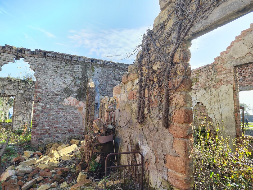 Сухум, стены, которым 200 лет - Фотогруппа Весна Сухум, стены, которым 200 лет - Фотогруппа Весна