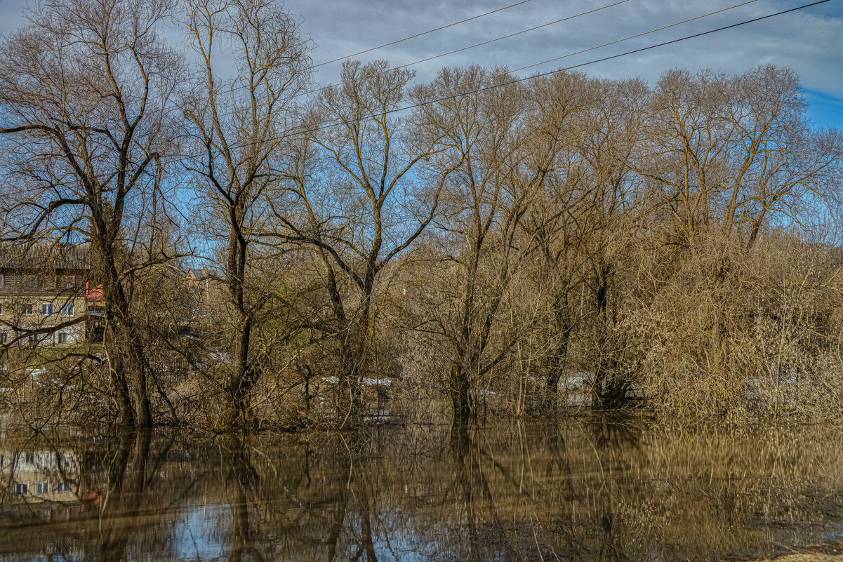 Весна. - Николай 