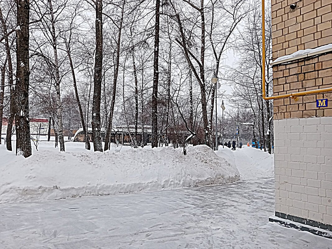 Зима. - Владимир Драгунский