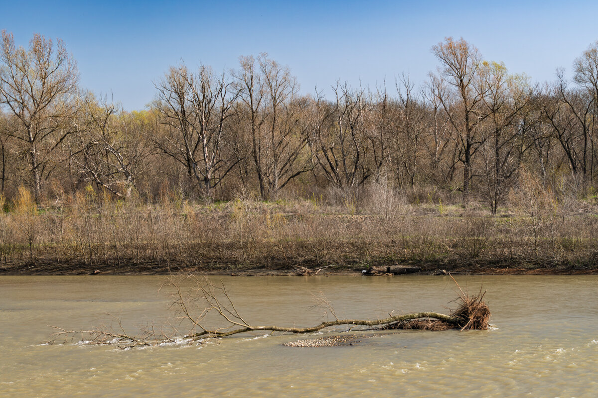 Река Кубань - Игорь Сикорский