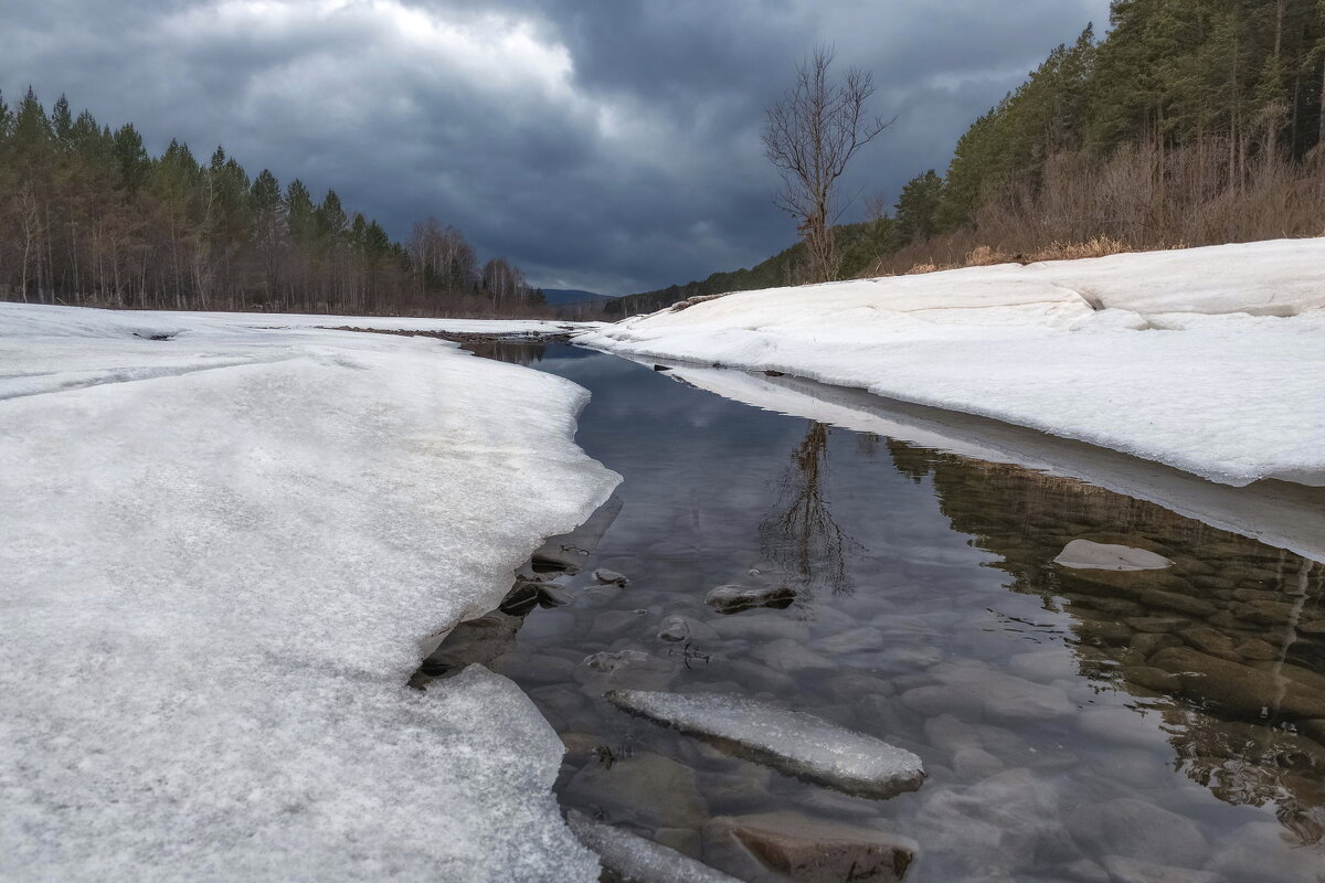 Весенние проталины - Марина Фомина.