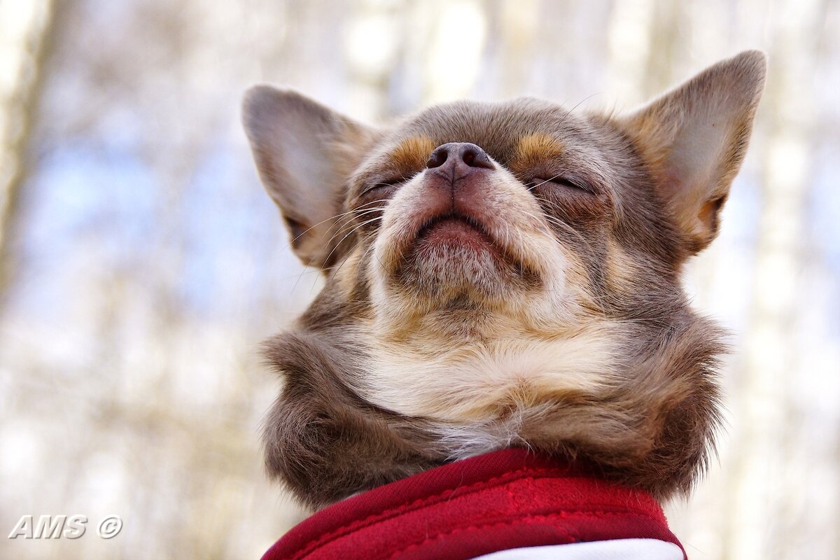 Ксю - kolyeretka Ксю - kolyeretka