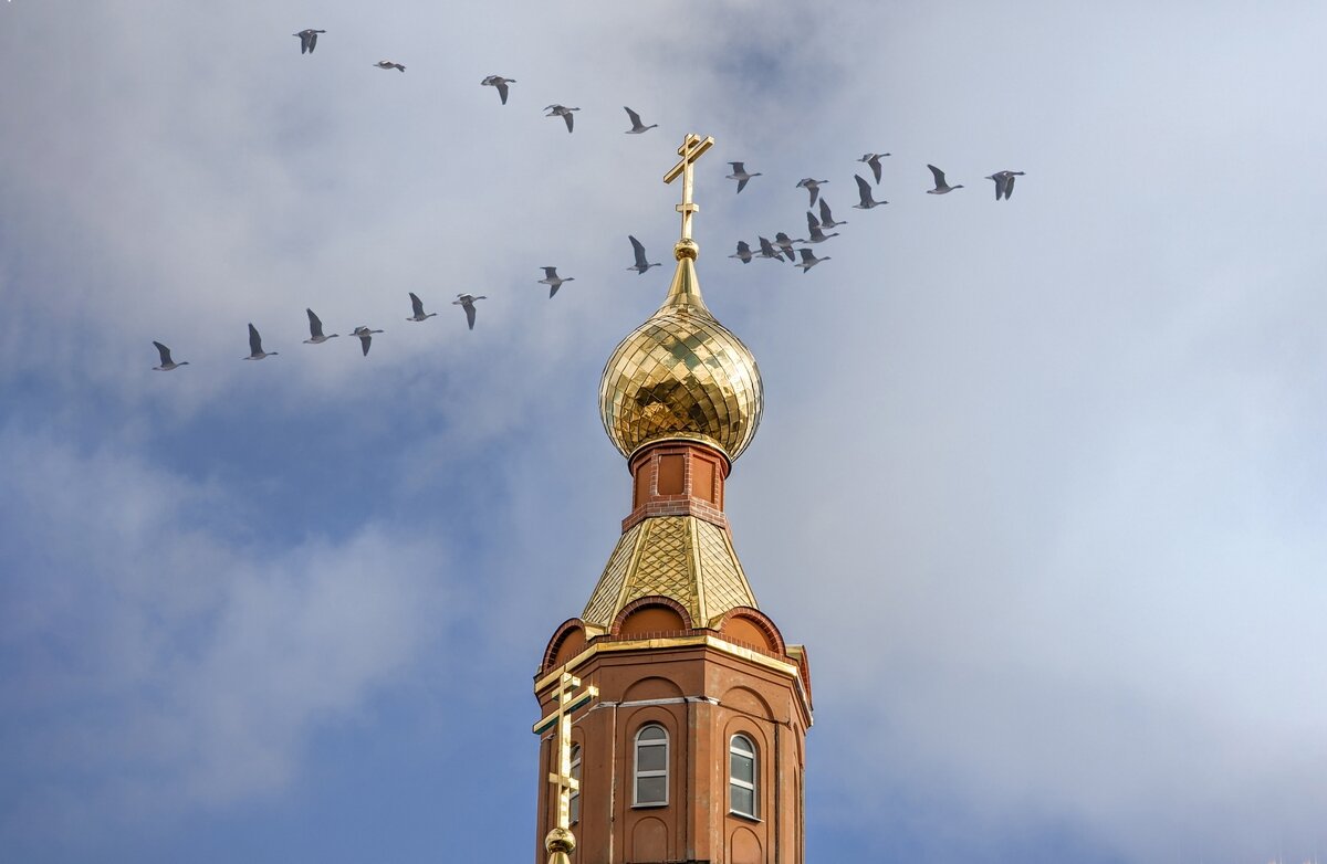 Весенние зарисовки ... - Ravile 