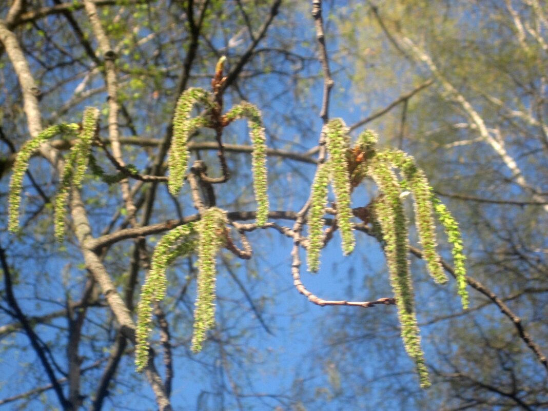 Весеннее - Елена Семигина