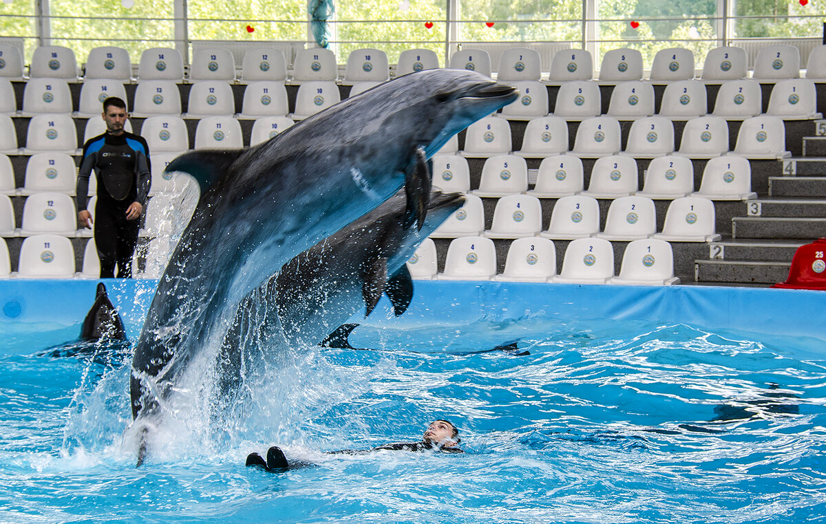 Страшно мне, страшно ... - Alexandеr P