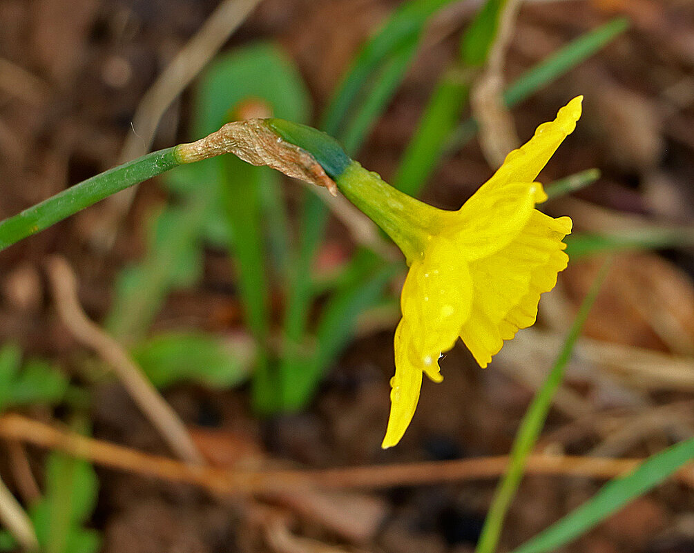 В поклоне - Светлана 