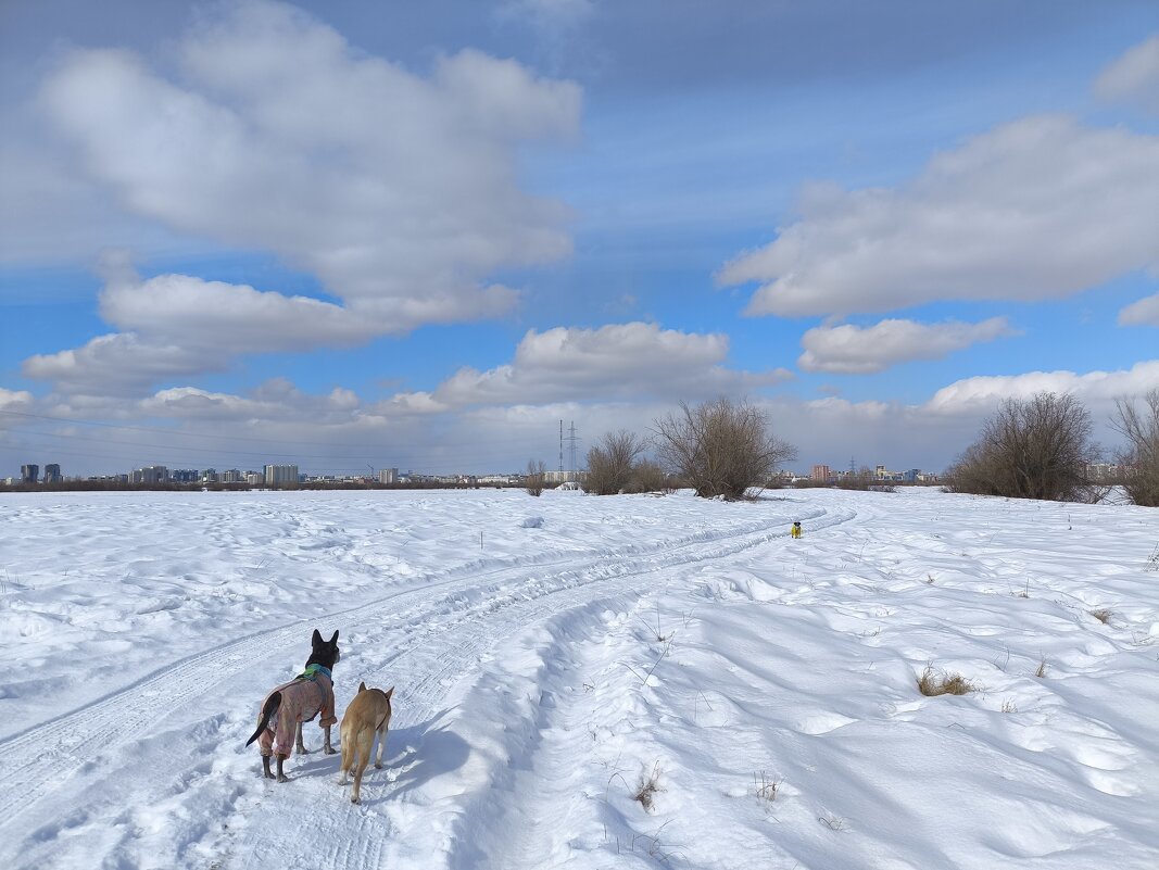 Весенние прогулки - Anna Ivanova