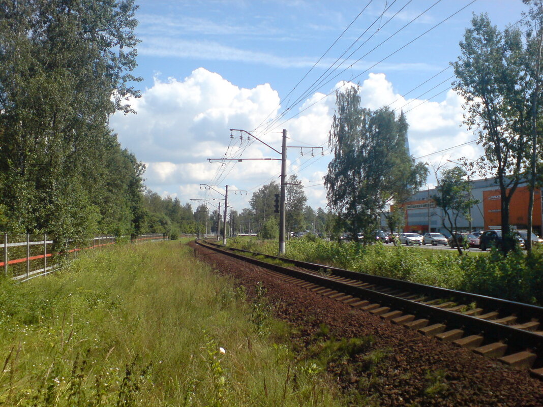 В сторону Лахты - Not Lion