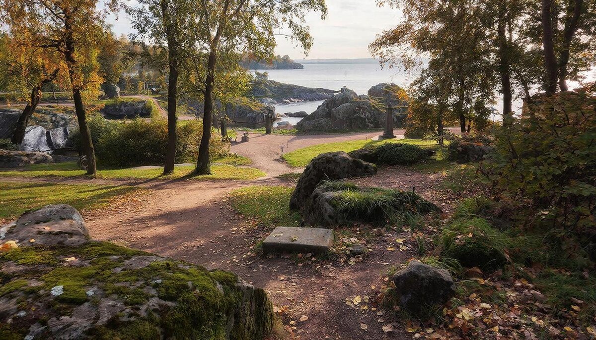 Пейзаж лесной - СЕРГЕЙ ФИЛОЧКИН