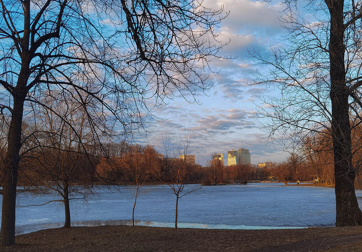 Весенние зарисовки в  парке Победы. - Лилия *