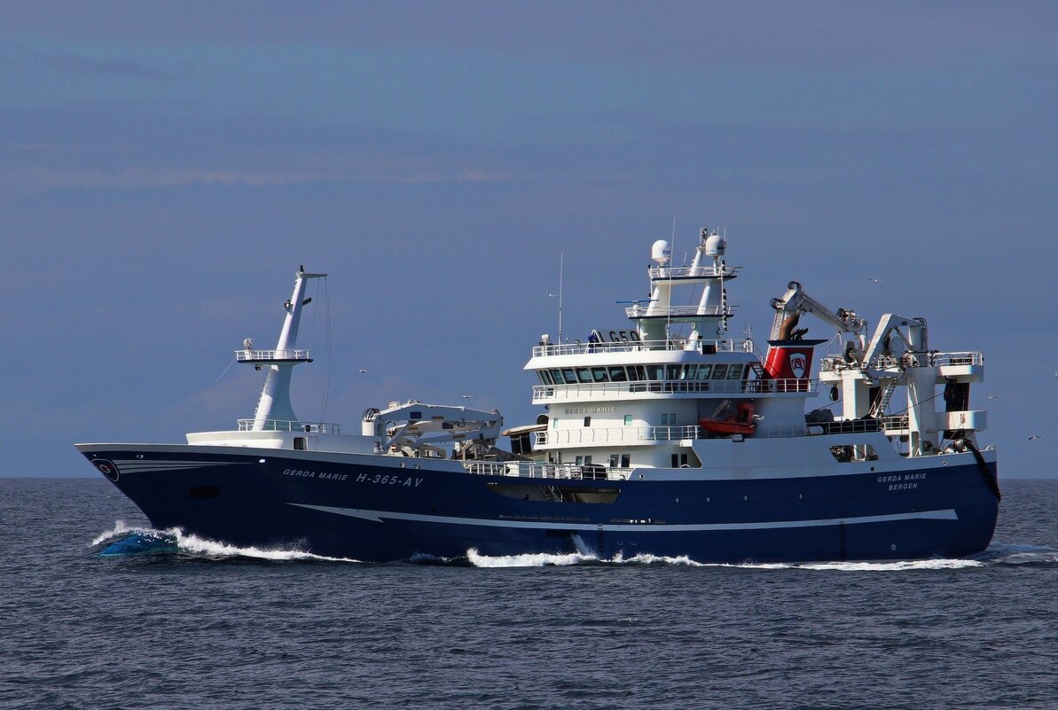 Красавица - В.И 