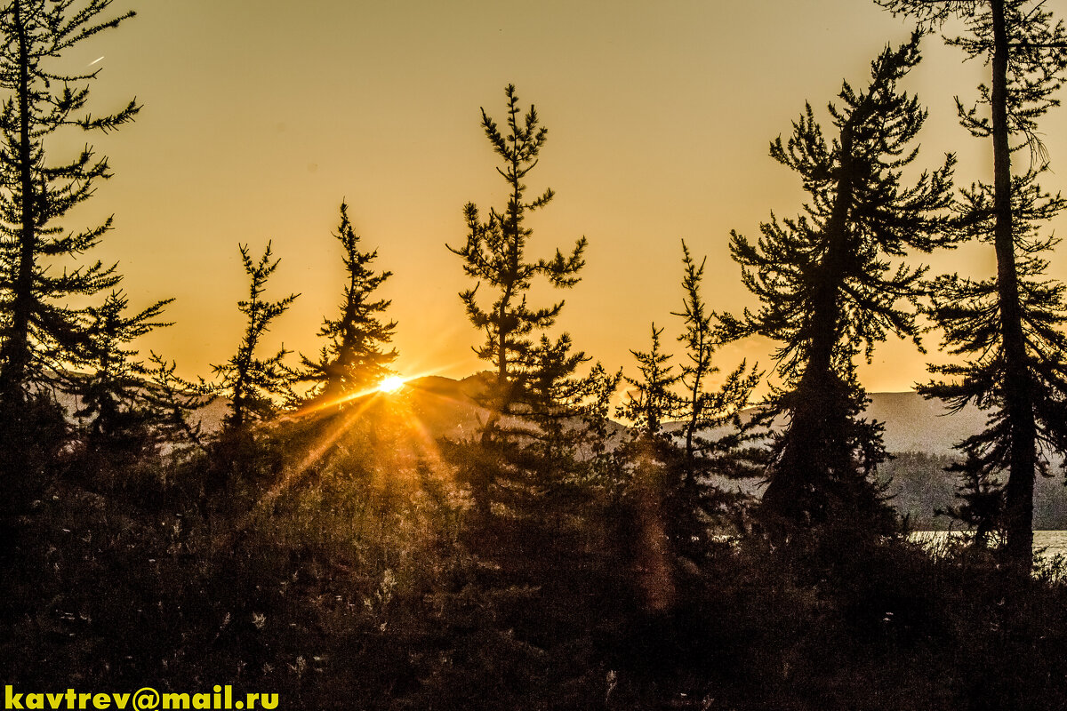 ЗАКАТЫ В ТАЙГЕ - HART BAD