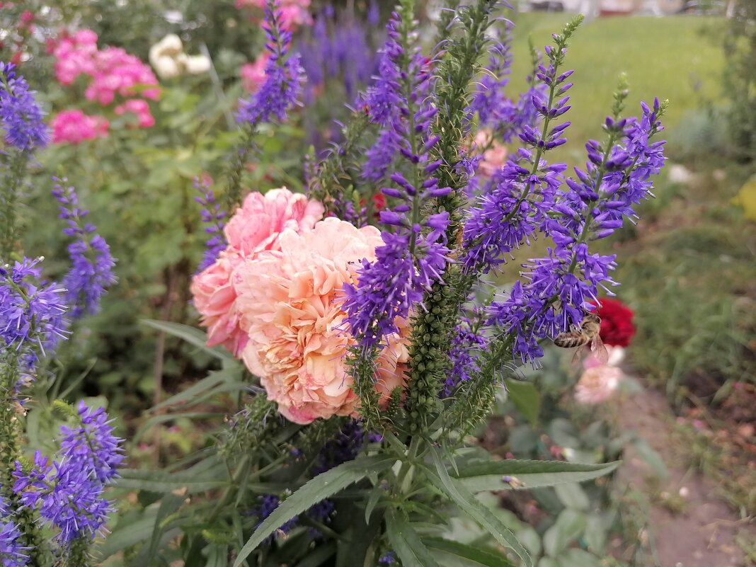 ,,, - Сергей Тимоновский ,,, - Сергей Тимоновский