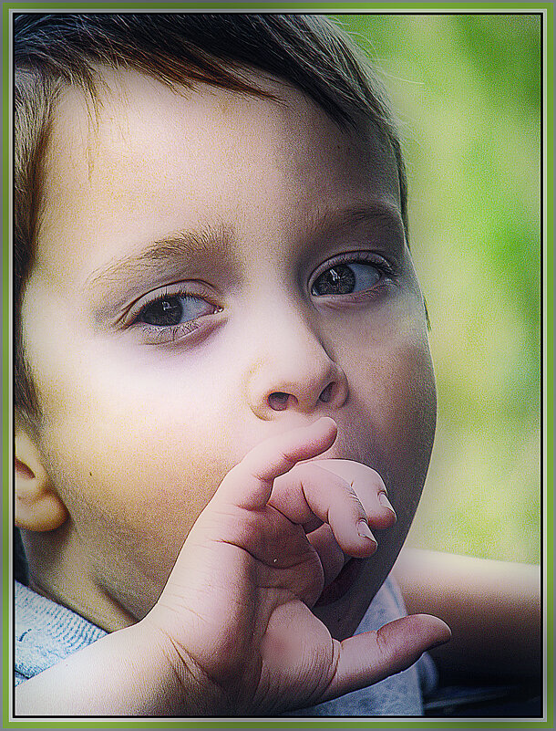 Задумчивость - Владимир Кроливец