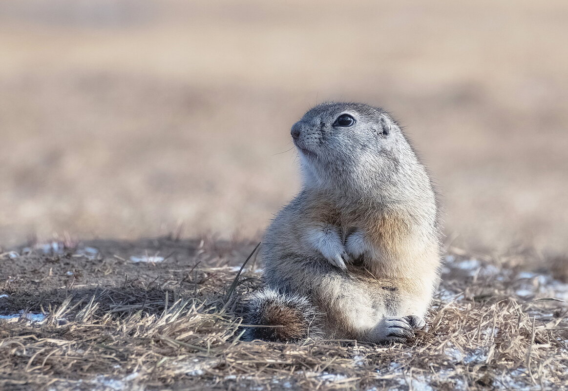 Посиделки - Марина Фомина.