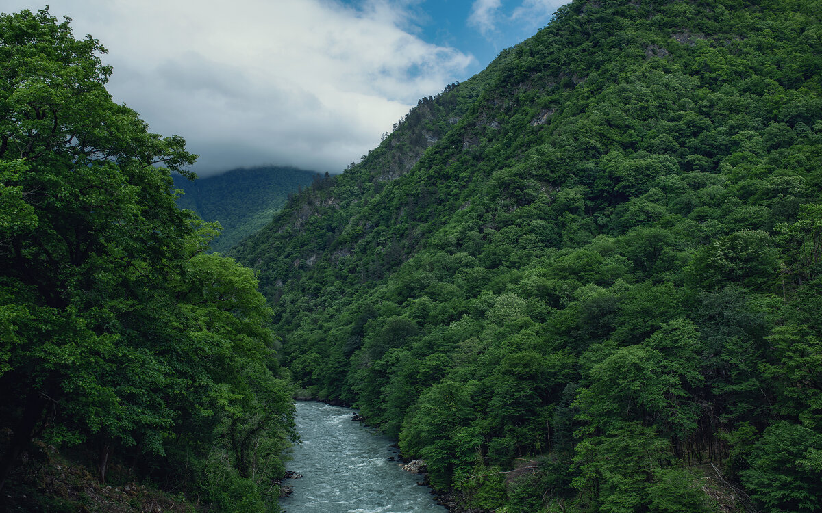 Абхазия - Лилия . Абхазия - Лилия .