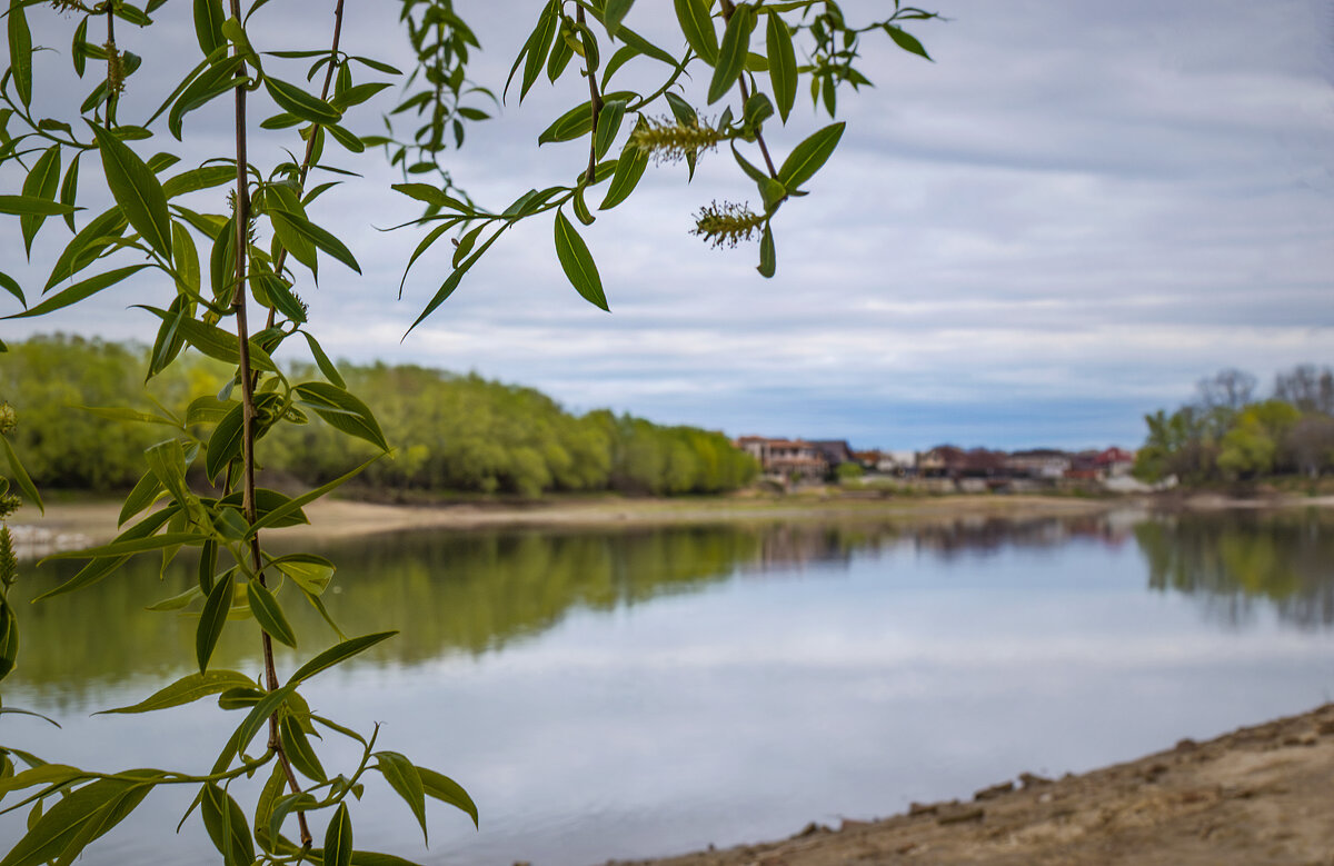 Природа Кубани - Игорь Протасов