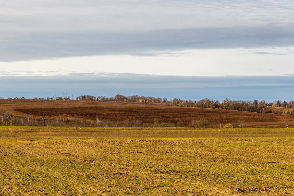 Русское поле. - Анатолий. Chesnavik.