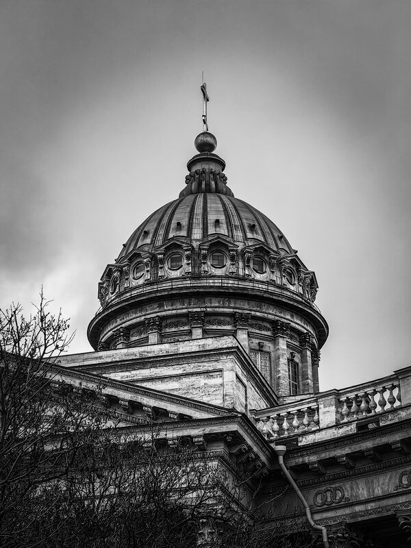 217 - Анастасия Верушкина