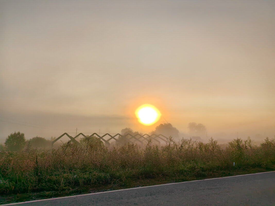 220 - Анастасия Верушкина