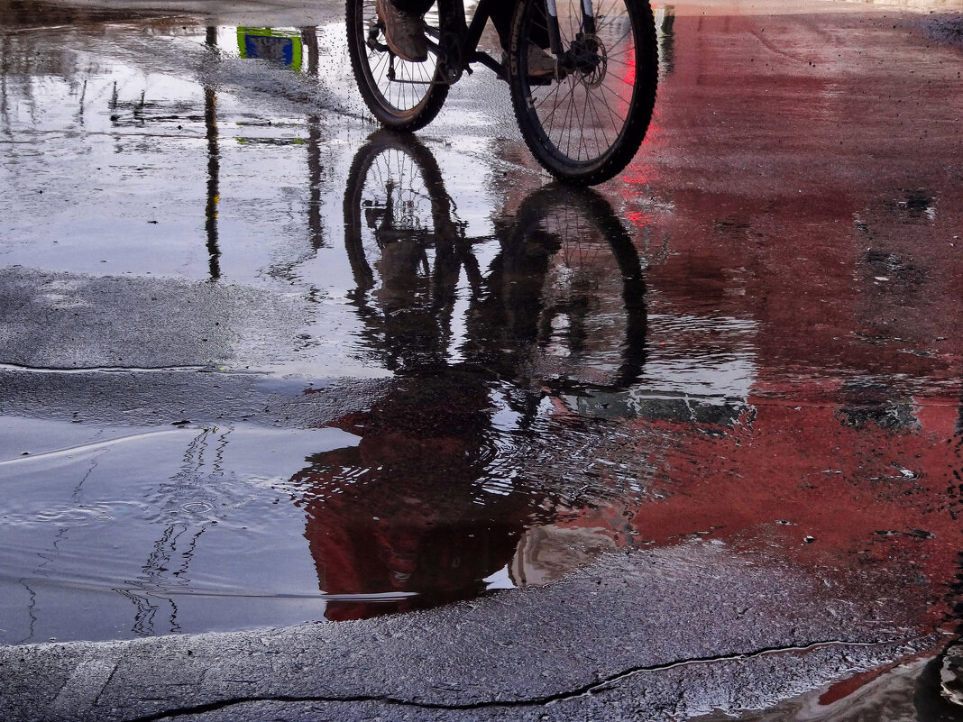 Привет Картье-Брессону с этого света - Maria Rainer Привет Картье-Брессону с этого света - Maria Rainer