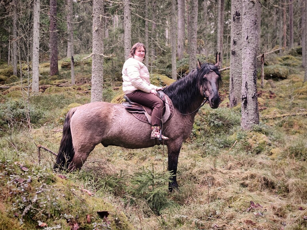 Прогулка в лесу. - Ольга 