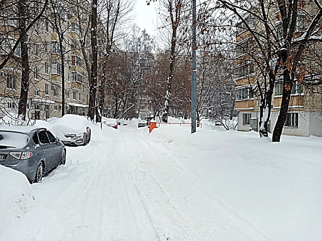 Зима. - Владимир Драгунский