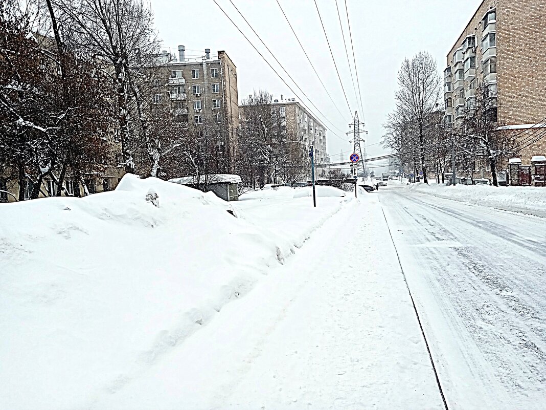 Зима. - Владимир Драгунский