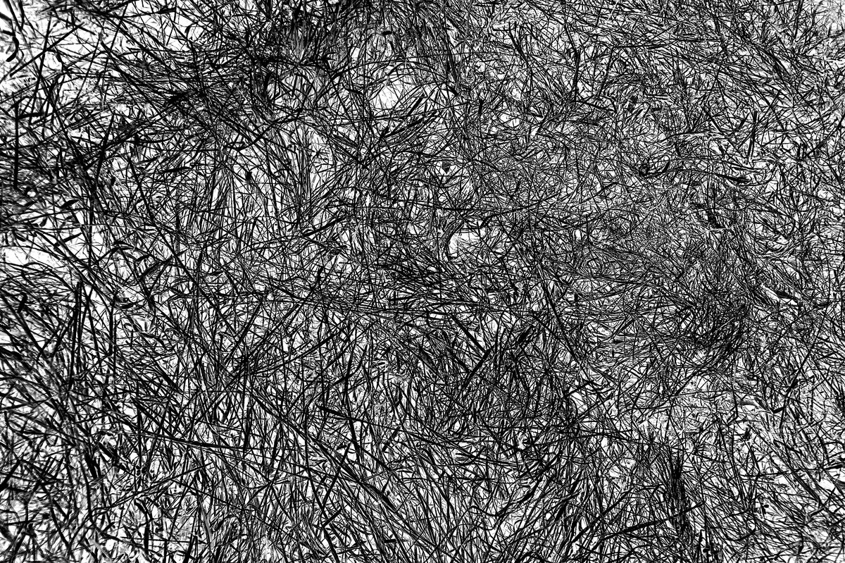 Инверт негатив прошлогодней травы - Валерий Иванович