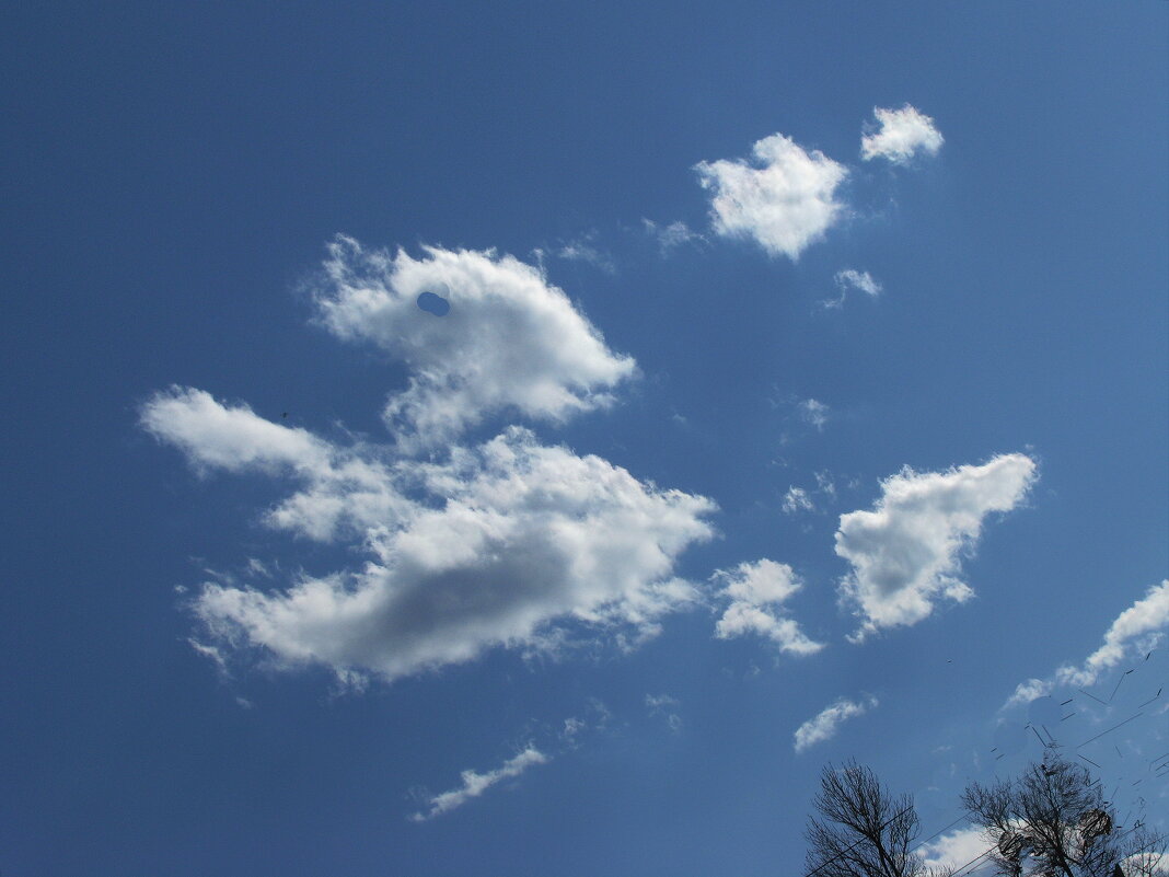 Глазастик - Людмила Смородинская