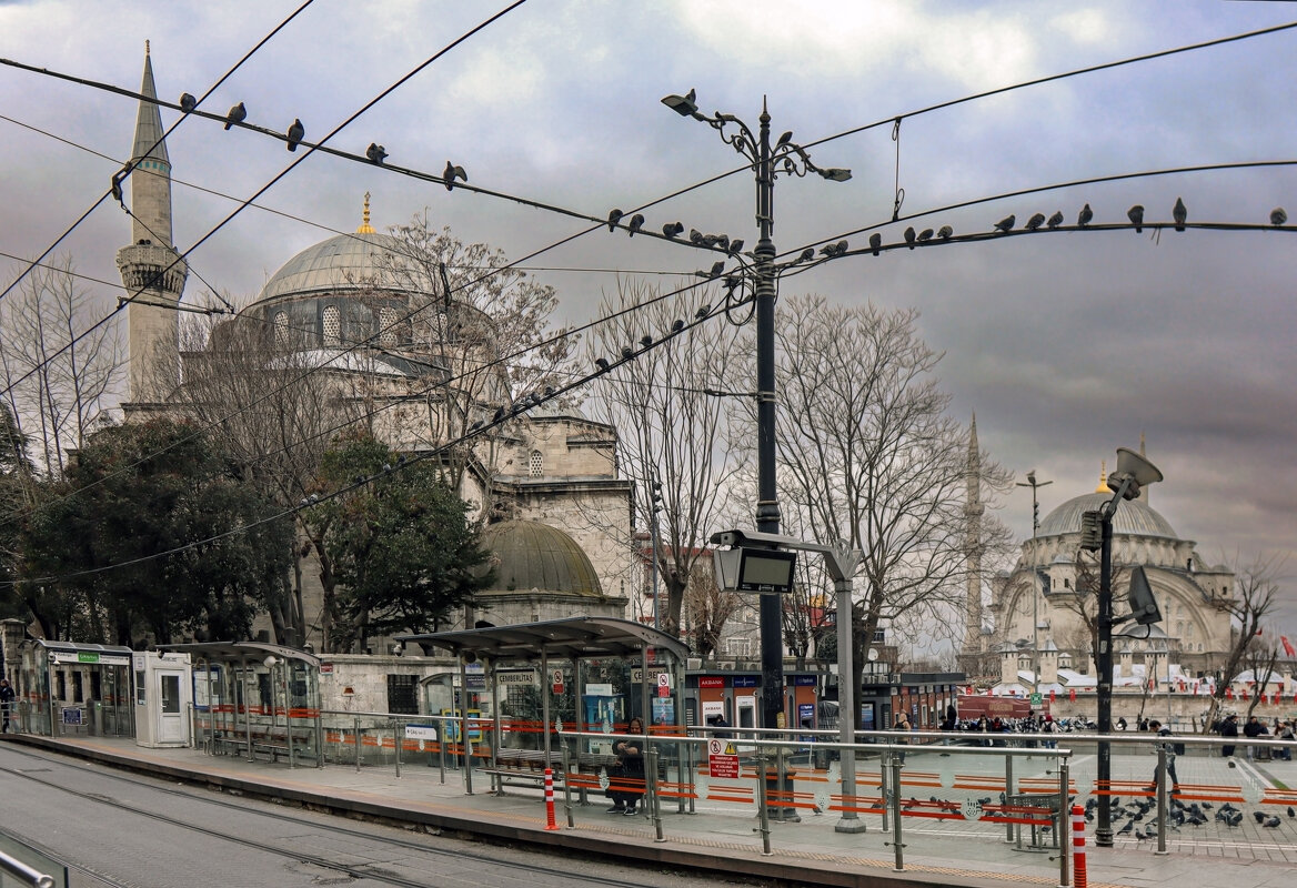 По улицам Стамбула - skijumper Иванов